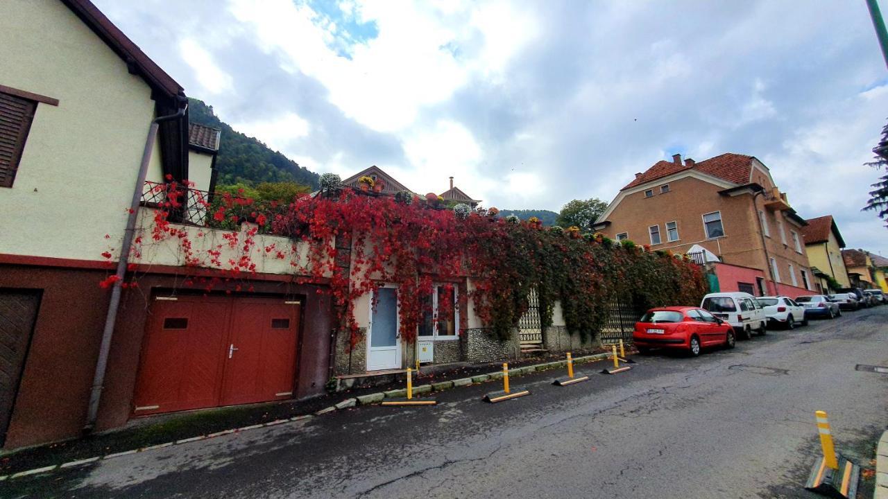 Nomad Apartment Braşov Exteriör bild